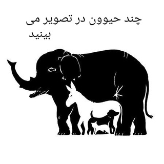 عنوان محتوا