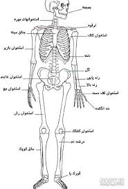 عنوان محتوا